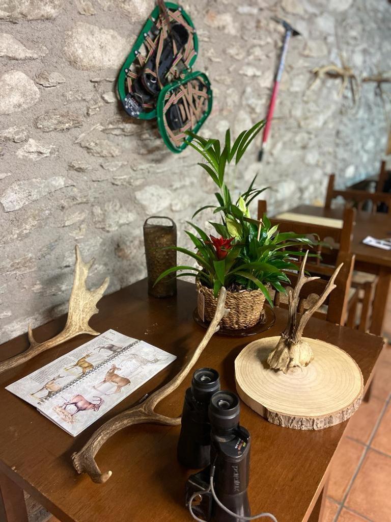 Refugi D' Alos Alos d'Isil Esterno foto